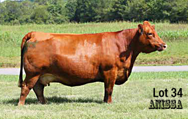 Lot 34 - TJB 149X SNM 4107C ET